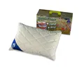 Badenia Bettcomfort 03460099107 Irisette Dinkelkissen 40 x 60 cm natur