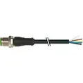 Murrelektronik Steckverbinder 7000-12041-7320100
