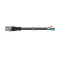 Murrelektronik Steckverbinder 7000-12041-7320100 Steckverbinder Steckverbinder