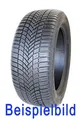 1x Ganzjahresreifen Nexen N'Blue 4Season Van 225/65R16C 112/110R DOT2424 #855