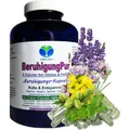 BERUHIGUNG Pur 6 beruhigende Kräuter 360 Kapseln Baldrian Hopfen Melisse Lavendel Johanniskraut Passionsblume - Ruhe & Entspannung NATUR pur