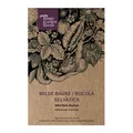 Wilde Rauke / Rucola selvatica (Diplotaxis muralis) - ca. 1500 Samen