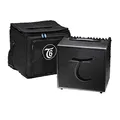 Tanglewood ta6-amplificatore mit Handy, 60 W