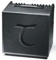 Tanglewood T6 Akustikgitarrenverstärker, 2 Kanal B-Stock
