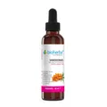 Sanddornöl Reines Sanddorn-Trägeröl 50 ml