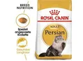 ROYAL CANIN Persian Adult 10 kg