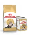 10 kg ROYAL CANIN Persian Adult + nass für Perser-Katzen 12 x 85g