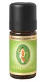 Primavera Rosmarin Campher ätherisches Öl Rosmarinöl naturrein bio 10 ml