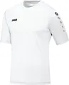 Trikot Team KA JAKO