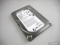Seagate ST3250318AS, 9SL131 Barracuda 3,5 Zoll, 250GB Festplatte HDD, gebraucht