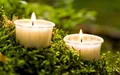 50 Stück Wenzel Kerzen Light.One, Teelicht in Papierhülle, vegan und nachhaltig