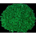 LEGO 1x1 Blume Grün - Green flower 32607 - 50x (32607, LEGO Zubehör) (32607)