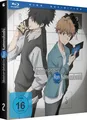 Meisterdetektiv Ron Kamonohashi - Staffel 1 - Part 2 - auf BLU RAY - NEU & OVP