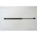 Gasfeder, Koffer-/Laderaum TRISCAN 871029272 für VW KIA