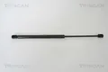 TRISCAN Gasfeder Hinten für Vw Golf V Plus 8710 29272