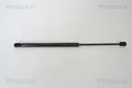 TRISCAN GASFEDER HINTEN hinten links rechts 871029272 für KIA VW