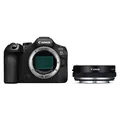 Canon EOS R6 Mark III + Objektivadapter EF-EOS R (mit Steuerungsring)