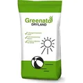 10kg Rasensamen Greenato Dryland dürreresistenter Rasen Grassamen Rasensaat Gras Grassaat