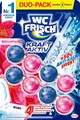 WC Frisch WC FRISCH Duftspüler Blüten-Frische Kraft Aktiv 100g WC-Reiniger (Doppelpack, [2-St. Duftsteine mit +50 % Anti-Kalk Effekt)