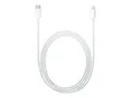 Apple USB-C to Lightning Cable - Lightning-Kabel