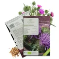 BIO Mariendistel Samen - Heilkräuter Saatgut aus biologischem Anbau ideal für den heimischen Kräutergarten, Balkon & Garten (50 Korn)