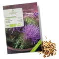 BIO Mariendistel Samen - Heilkräuter Saatgut aus biologischem Anbau (50 Korn)