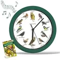 Starlyf Wanduhr Birdsong Clock (Uhr mit natürlichen Vogelstimmen, 25x25cm, batteriebetrieben, grün) grün