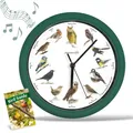 STARLYF Birdsong Clock Wanduhr mit Vogelstimmen, Wanduhr mit echten Klängen von 12 verschiedenen Vögeln, Stummschaltplan in der Nacht, 25x25cm,Natürlicher Charme für Dein Zuhause