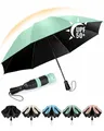 Chakipee Kompakter Reise Regenschirm Groß Sturmfest – Automatik Taschenschirm Tragbarer UV-Schirm für Damen und Herren, 210T Beschichtung 106 cm Spannweite 8 Rippen Taschenschirme Grün