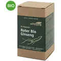 Roter Bio Ginseng Kapseln