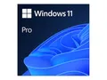 Microsoft Windows 11 Pro - Lizenz - 1 Lizenz - ESD - National Retail, 64-bit (FQC-10572)