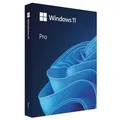 Windows 11 Pro Herunterladen