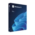 Microsoft Windows 11 Pro Software