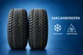 2x 225/45 R18 95W XL Ganzjahresreifen Minerva AllSeason 3PMSF Allwetter NEU