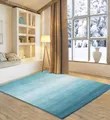 Wollteppich OTTO HOME "Lessach", blau (türkis), B:60cm H:14mm L:90cm