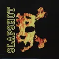 Slapshot - I Believe (Vinyl 7" - 2012 - EU - Original)