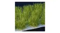 Gamers Grass - Tufts Jungle XL (12mm) Wild: Tabletop Gaming Terrain - Tufts - Big Kid, Young Adult