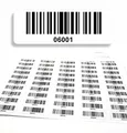 Barcodeetiketten 06001-07000 fortlaufend 5-stellig DGUV Prüfung Barcode Etiketten 1.000 Stck Strichcode Elektrotechnik Code128 selbstklebend 50x17mm (06001-07000)
