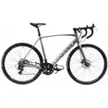CHILLIZ Rennrad RDB2.1, 14 Gang Shimano Tourney Schaltwerk, Kettenschaltung grau 57 cm