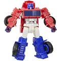 TF Cyberworld Cyber Changers Sort.