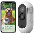 PetTec Cam Free Outdoor Hundekamera Wireless - Wetterfeste WLAN-Kamera für Hunde mit 3MP, digitalem Zoom, 2-Wege-Audio, extrem starker Akku - bis zu 9 Monate je Ladezyklus