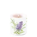 Kerze klein – Candle small – Format: Ø 7,5 cm x 9 cm – Brenndauer: 35 Std. - 1 K