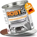 Rostio Tankversiegelung R2105 – 250 ml – Spezialharz für Innenbeschichtung von Metalltanks – transparente bernsteinfarbene Schutzschicht – Korrosionsschutz – bis 30 L Tank – bis zu 3 Schichten
