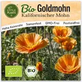 Little Plants BIO Goldmohn Samen 150 Mohnsamen (Kalifornischer) Blumensamen Samenfest für Blumengarten Blumen Samen für Balkon, Hochbeet und Garten