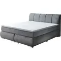 Sun Garden BX 2120 Malin Boxspringbett Holzwerkstoff/Stoff mit TFK-Matratze - Grau