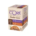 Nassfutter Katze 6x85g Truthahn getreidefrei Wellness CORE Tender Cuts