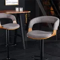 riess-ambiente Retro Barhocker MANHATTAN grau Strukturstoff Massivholz mit Lehne drehbar höhenverstellbar Barstuhl Tresenstuhl Tresenhocker