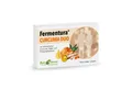 Aura Natura Fermentura® CURCUMA DUO, Hochdosierte Kurkuma-Kapseln mit Selen Kapseln, Packung à 30 St., curcuma fermentiert