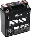 Akku BS Sla Factory Agm 11Ah 300914