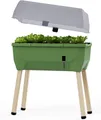 Gusta Garden Hochbeet SAMMY SALAD (inkl. Wassertank & Wasserstandsanzeige), Platzsparendes Hochbeet für den Balkon, dunkelgrün mit Frühbeethaube